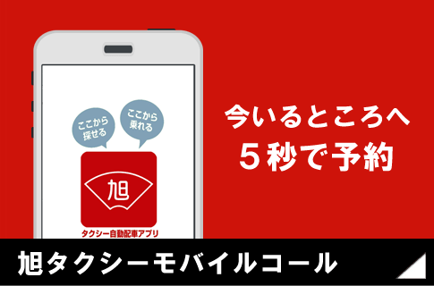 smartp